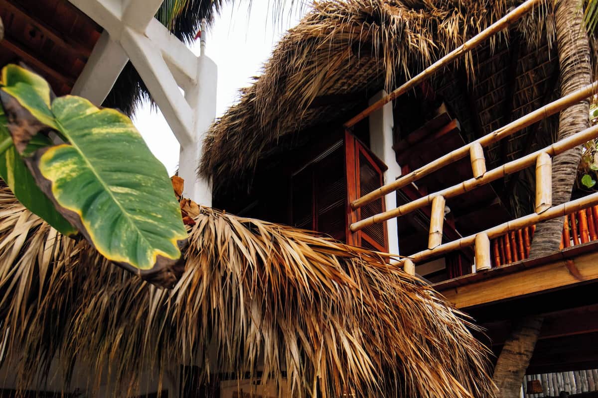 A thatched-roof structure with a wooden balcony, surrounded by tropical plants.