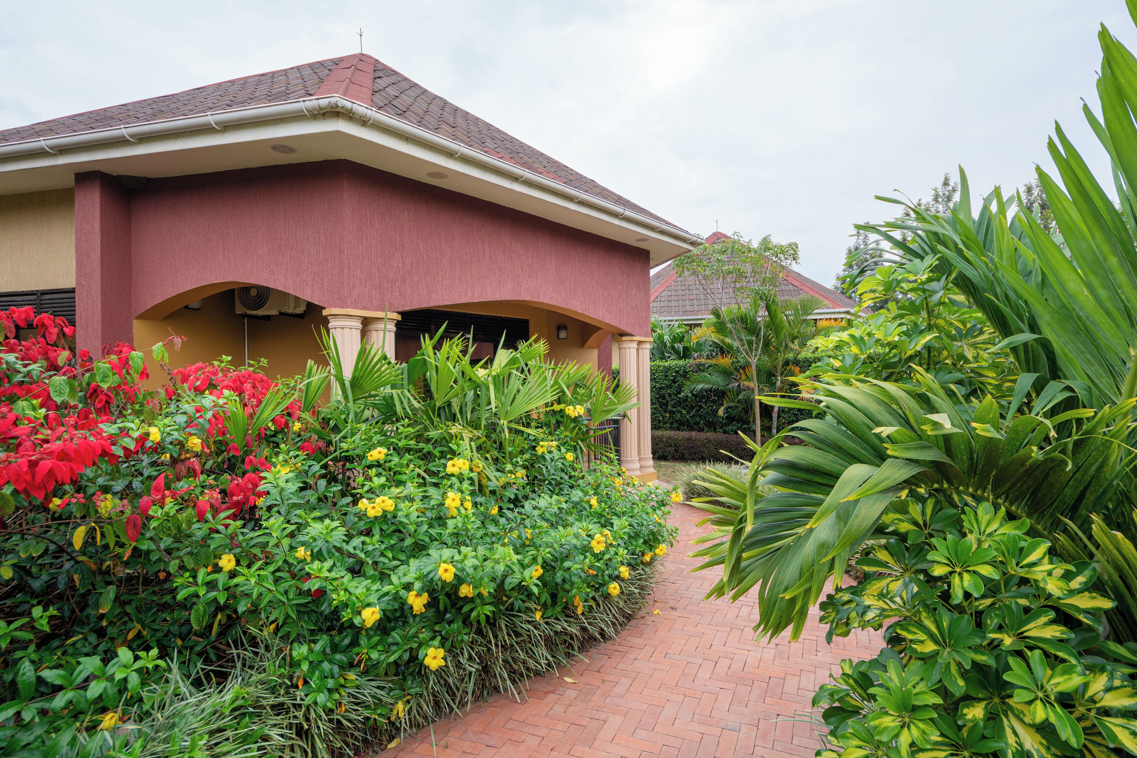 A house with a red facade, a brick pathway, and lush green and red plants.