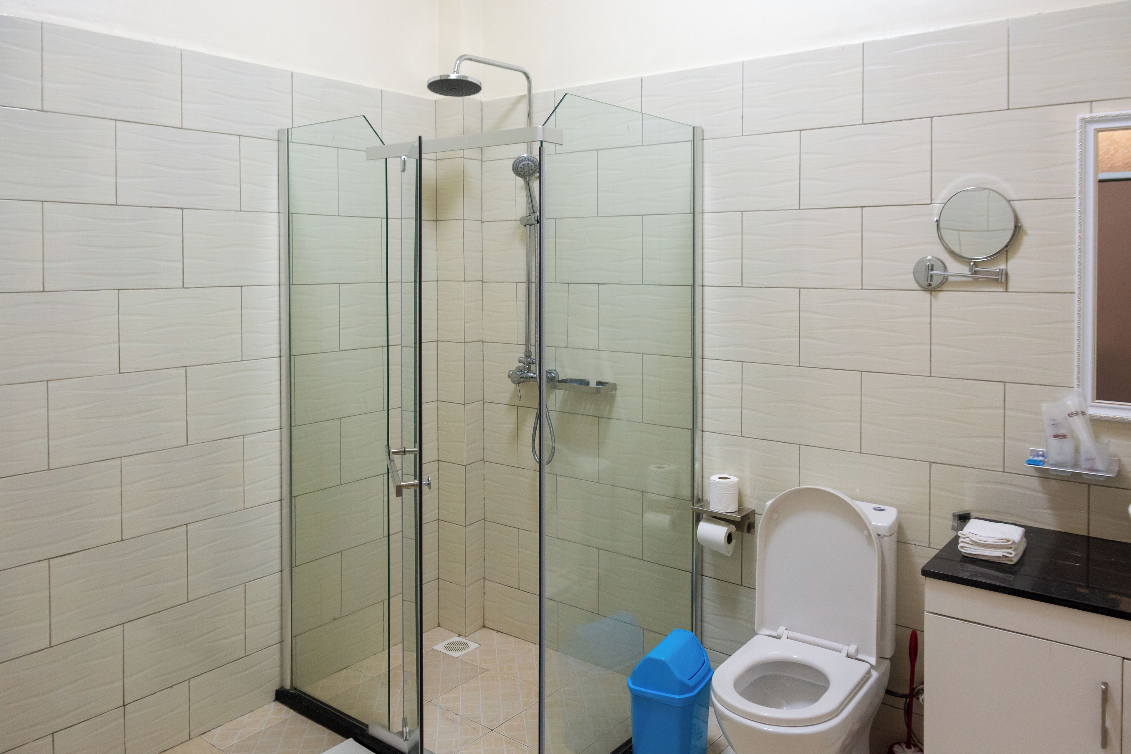 A bathroom with a glass-enclosed shower, a toilet, and a sink with a mirror above it.