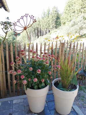 Exterior detail - Holiday Apartment "Deine Rauszeit" with Mountain View, Private Terrace and Wi-Fi (Seebach)