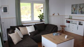 Télévision, cheminée, chaîne hi-fi