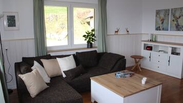 Télévision, cheminée, chaßne hi-fi