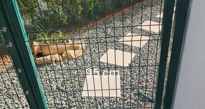 Sunset Villa not for rent