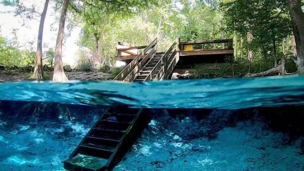 An underwater view of a wooden staircase leading to a platform surrounded by trees.