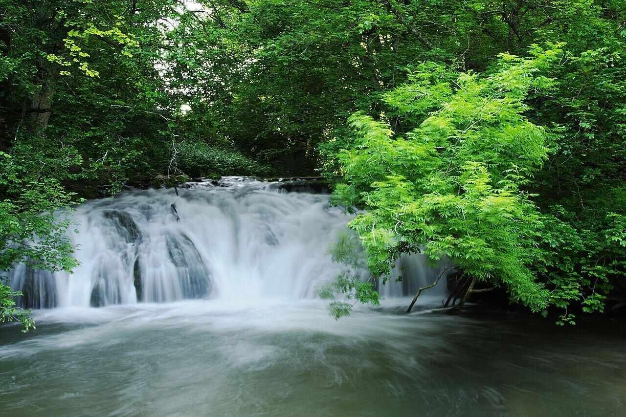 Een waterval omringd door weelderige groene begroeiing.