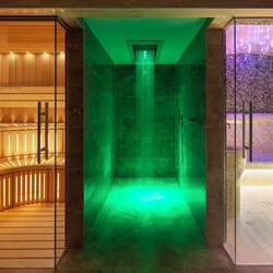 Couples treatment room(s), sauna, steam room