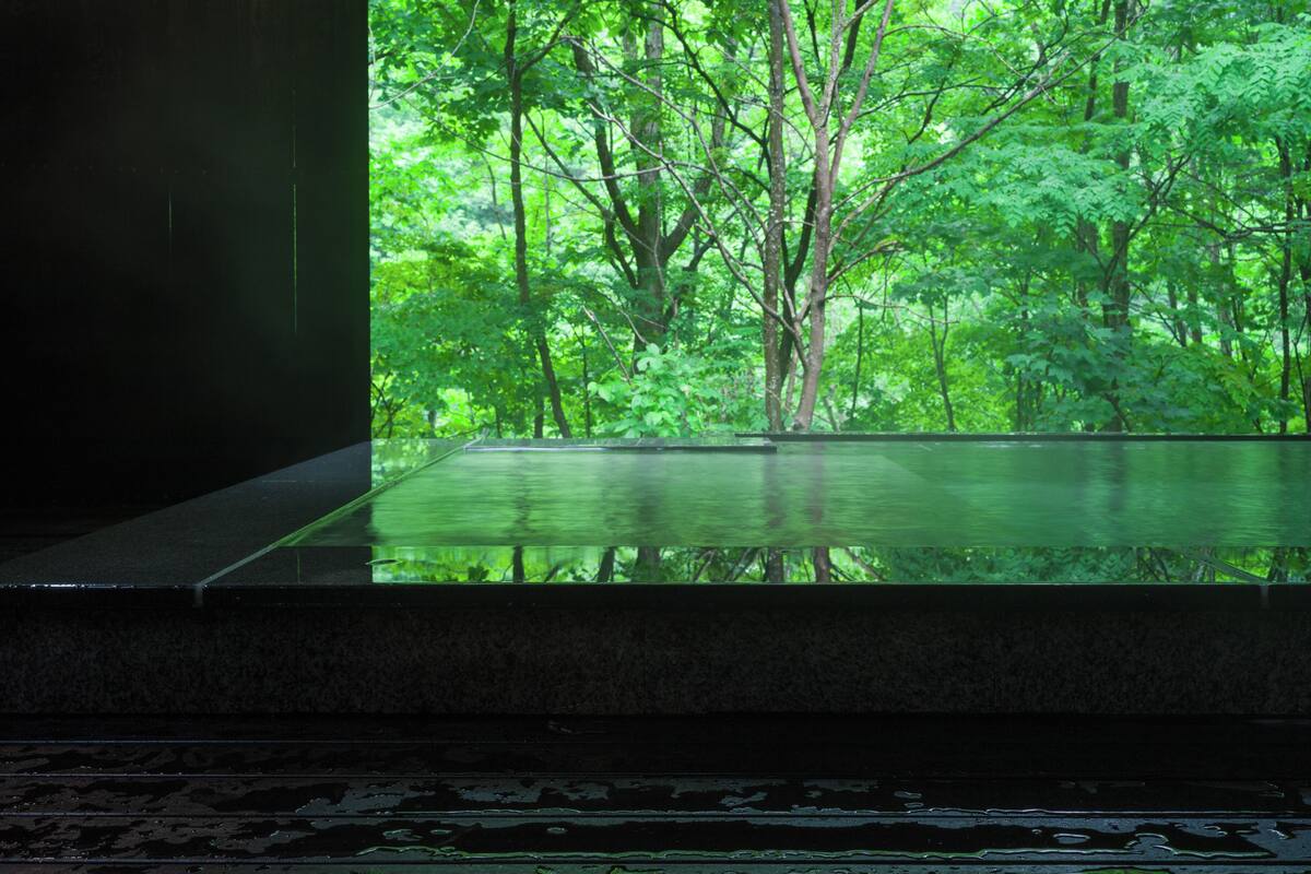 A room with a large window overlooking a dense forest.