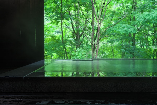 Suite Mewah, Bebas Asap Rokok (101, meals delivered, Self-service) | Kamar mandi | Bathtub dan shower terpisah dan pemandian mata air panas