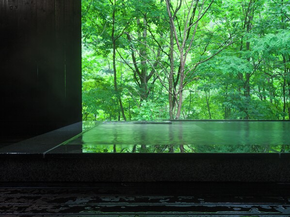 Luxe suite, niet-roken (101, meals delivered, Self-service) | Badkamer | Een aparte badkuip en douche, een bronwaterbad, een haardroger