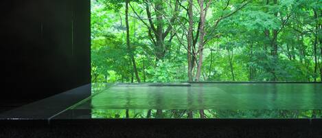 Une pièce dotée d’une grande fenêtre donnant sur une forêt dense.