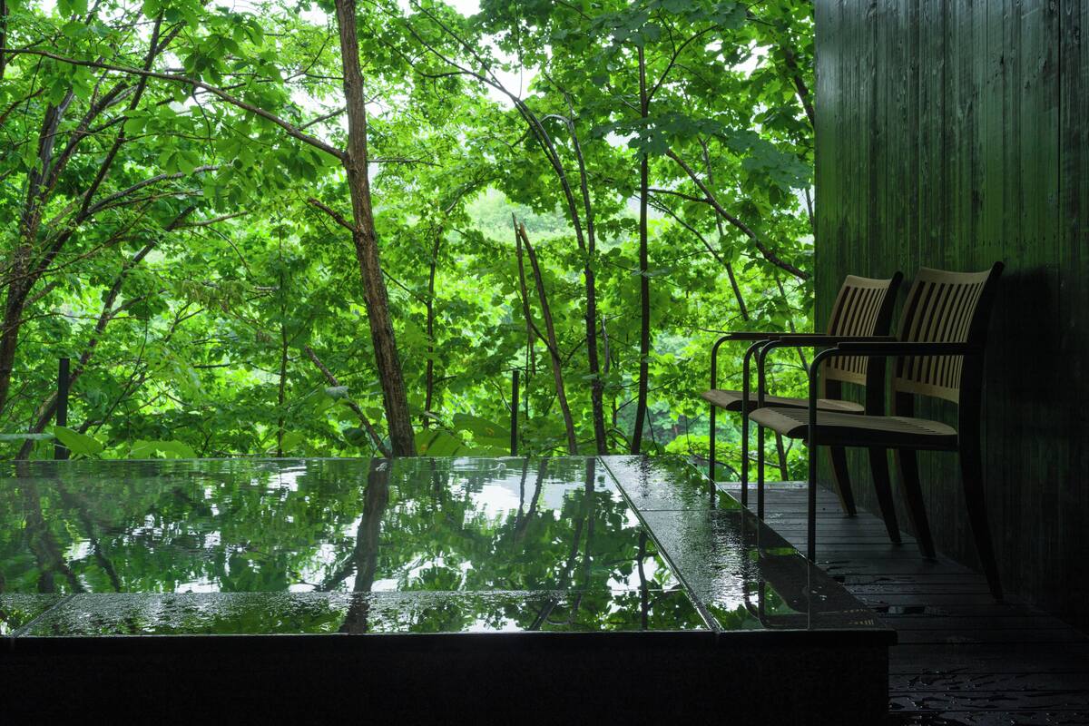 A glass-enclosed outdoor area with a wooden bench and a view of a dense forest.