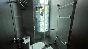 Shower, hair dryer, bidet, towels