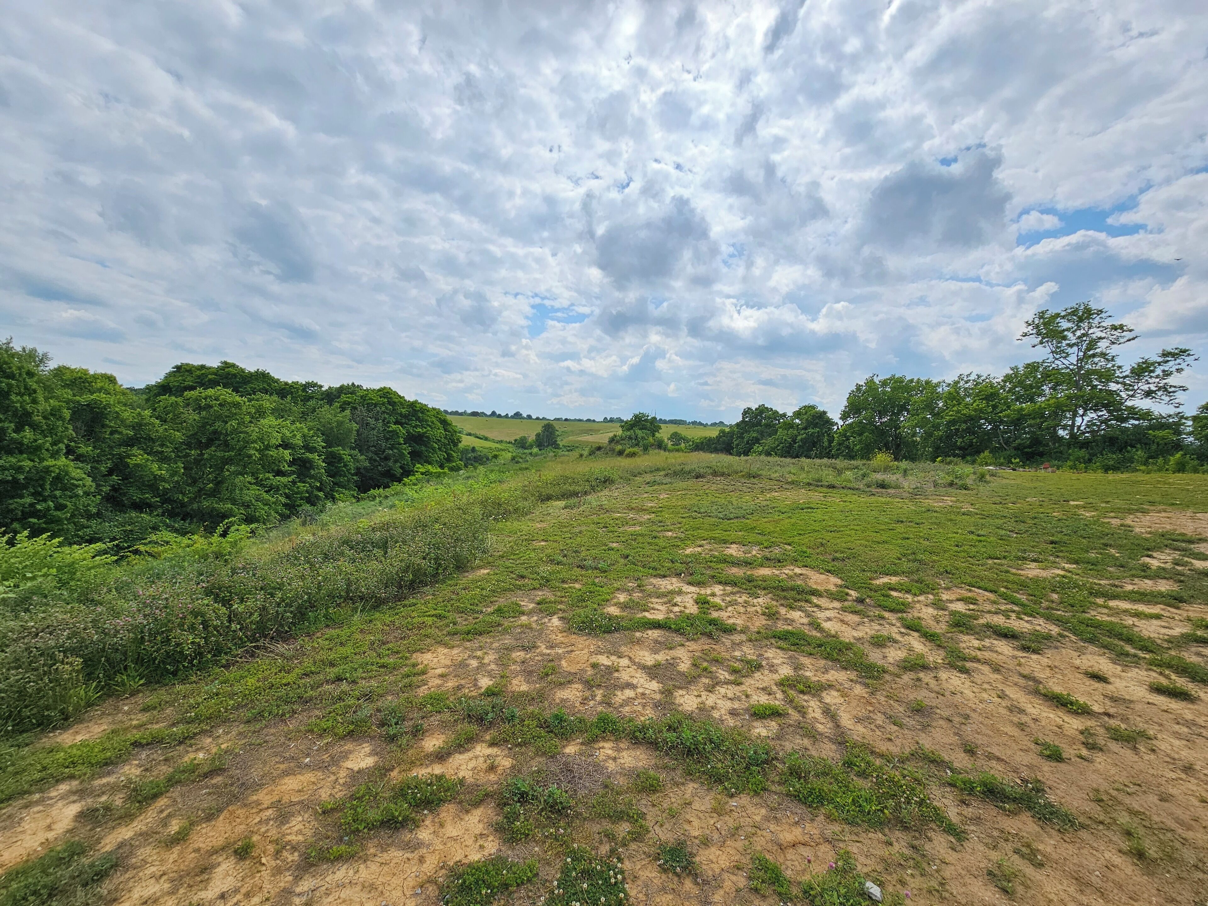 A natural landscape with a dirt path, green vegetation, and trees under a cloudy sky.