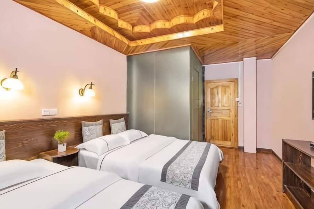 Habitación de hotel con dos camas, techo de madera, luces fijadas a la pared, una mesita de noche con una planta y un armario.