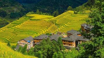 Terraced rice fields, traditional houses, and a mountainous backdrop.