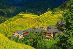 Terraced rice fields, traditional houses, and a mountainous backdrop. - Yu Yong Guesthouse (Longsheng Longji Rice Terraces) (Longsheng)