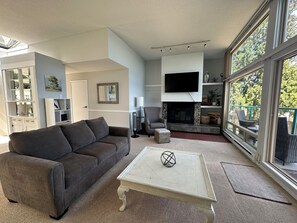 Smart TV, fireplace, books