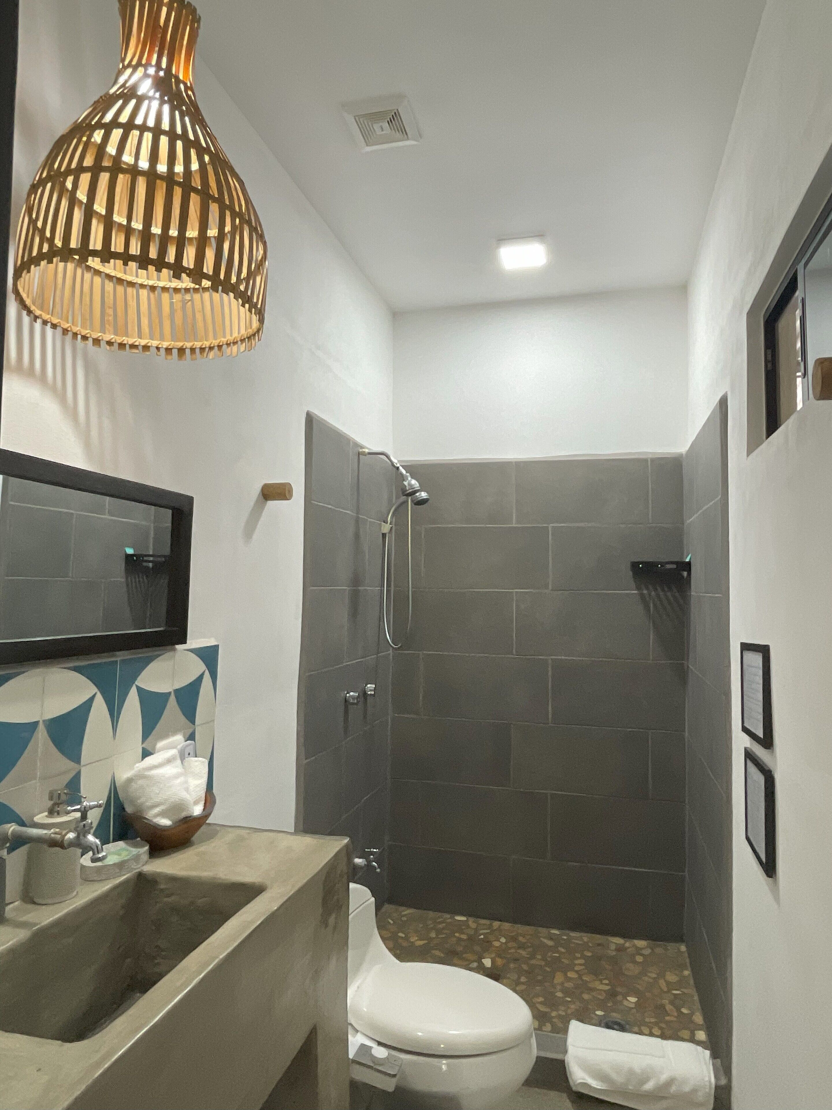 Shower, bidet, towels, soap