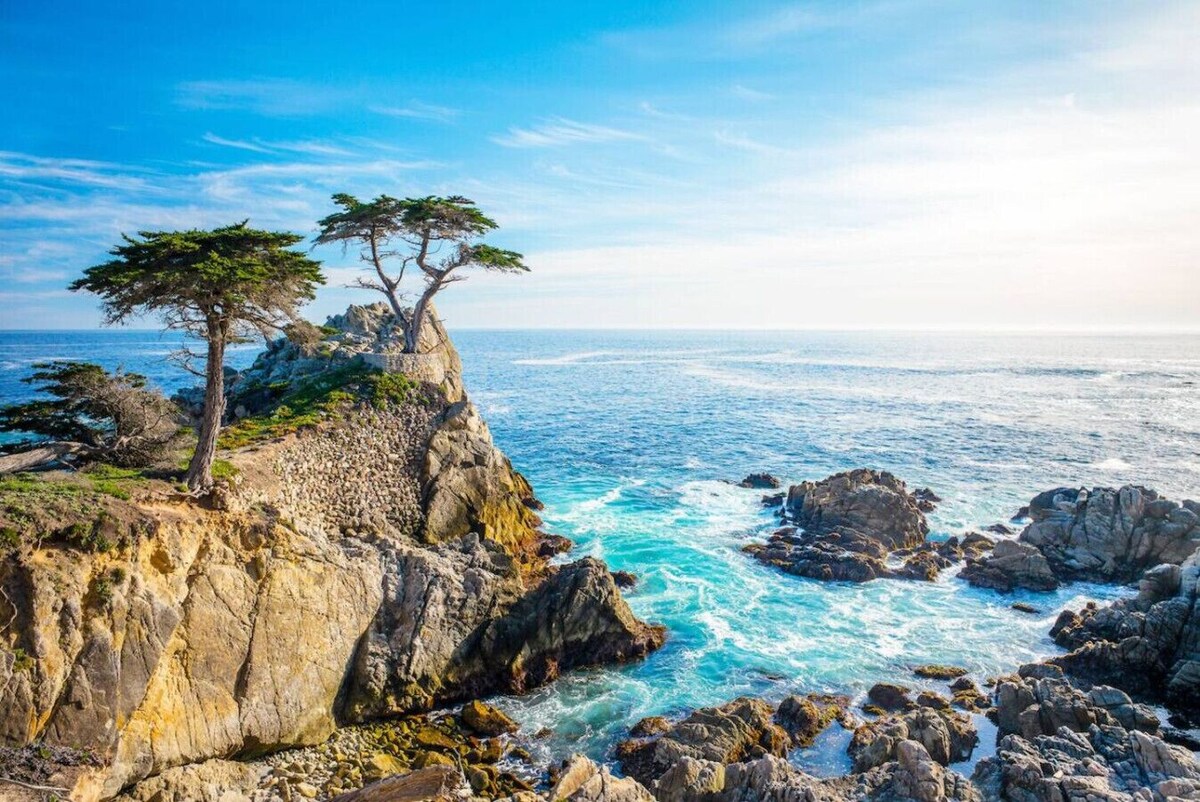 Photo 29 of Seclusion Oasis - Near Monterey Beaches & Aquarium