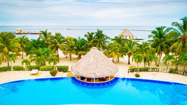A swimming pool with a thatched-roof bar area, surrounded by palm trees and a beach view. - Villa Castello- Water Views Resort Amenities (Placencia)