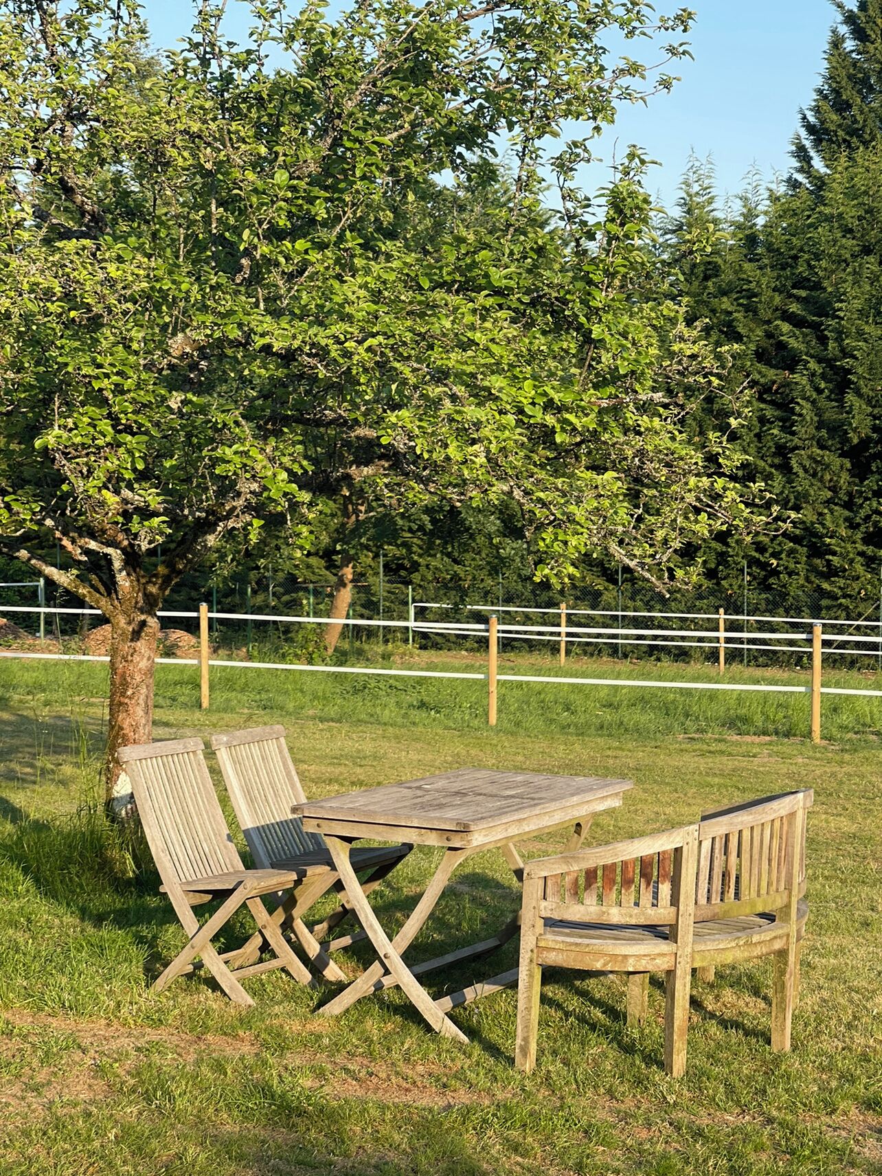 Ein Picknicktisch und Bänke in einer grünen Wiese mit Bäumen im Hintergrund.