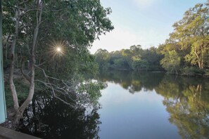 A calm river with trees on both sides, a clear sky, and sunlight reflecting on the water.