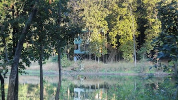 Lake view