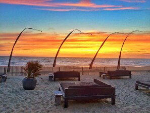 Beach - Nature Meets Luxury Stay (Bloemendaal)