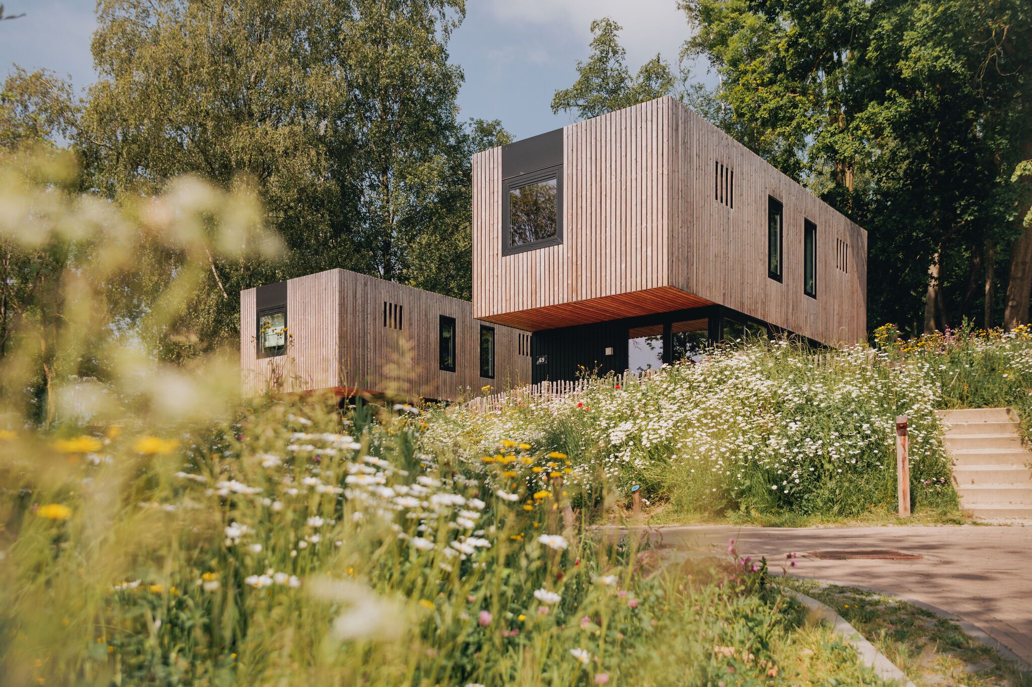 A modern wooden cabin with a sloped roof, surrounded by a garden with various wildflowers and trees.