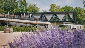 A modern building with a glass facade, outdoor seating area, and a garden with purple flowers.