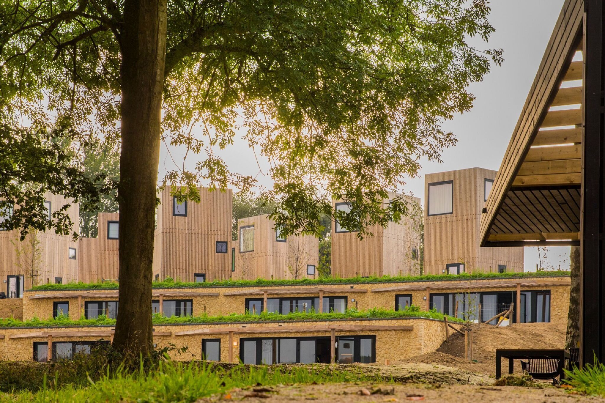 Een modern gebouw met een plat dak, grote ramen en een boom op de voorgrond.