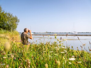 Beach nearby - Lakefront Retreat w/ Hammock (Ouddorp)