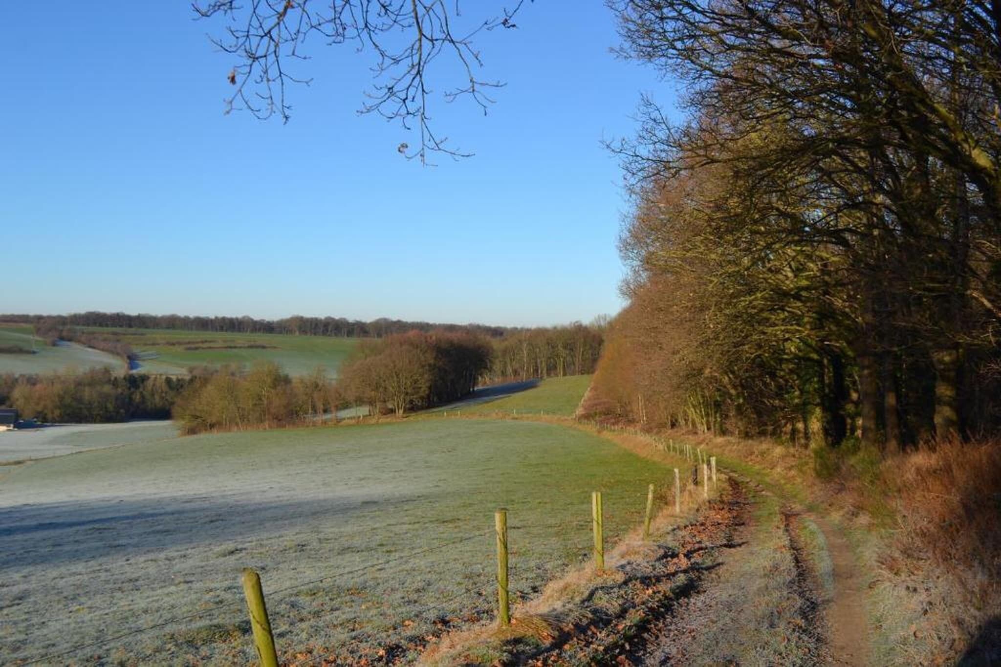A rural landscape with a dirt path, trees, and open fields.