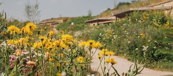 Nice hill lodge in Gulpen with great view