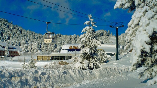 Schneebedeckte Landschaft mit Seilbahn, Gebäuden und Bäumen.