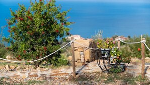 A stone wall, a bicycle, and a potted plant with flowers. - Glamping 'Melograno' with Sea View, Wi-Fi and Air Conditioning (Tusa)