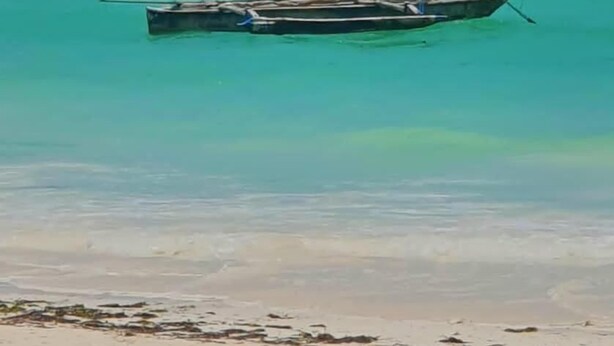 Ein Strand mit einem ankernden Boot in klarem türkisblauem Wasser, einem sandigen Ufer und einem Baum darüber.