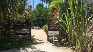 Ein Weg führt zum Ocean Breeze Palace, umgeben von üppigem Grün und leuchtend rosa Blumen.
