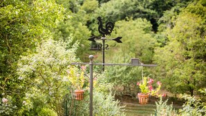 A weather vane with a rooster design, surrounded by greenery and potted plants. - Ocabianca Holiday Home with Private Terrace, Wi-Fi and Air Conditioning (Casole d'Elsa)