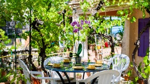 Una mesa redonda con sillas, rodeada de plantas en macetas y un florero con flores.