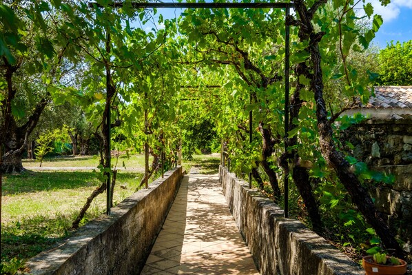 Parco della struttura