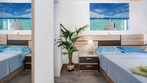 Une chambre avec deux lits, une plante en pot et une table de chevet avec une lampe.