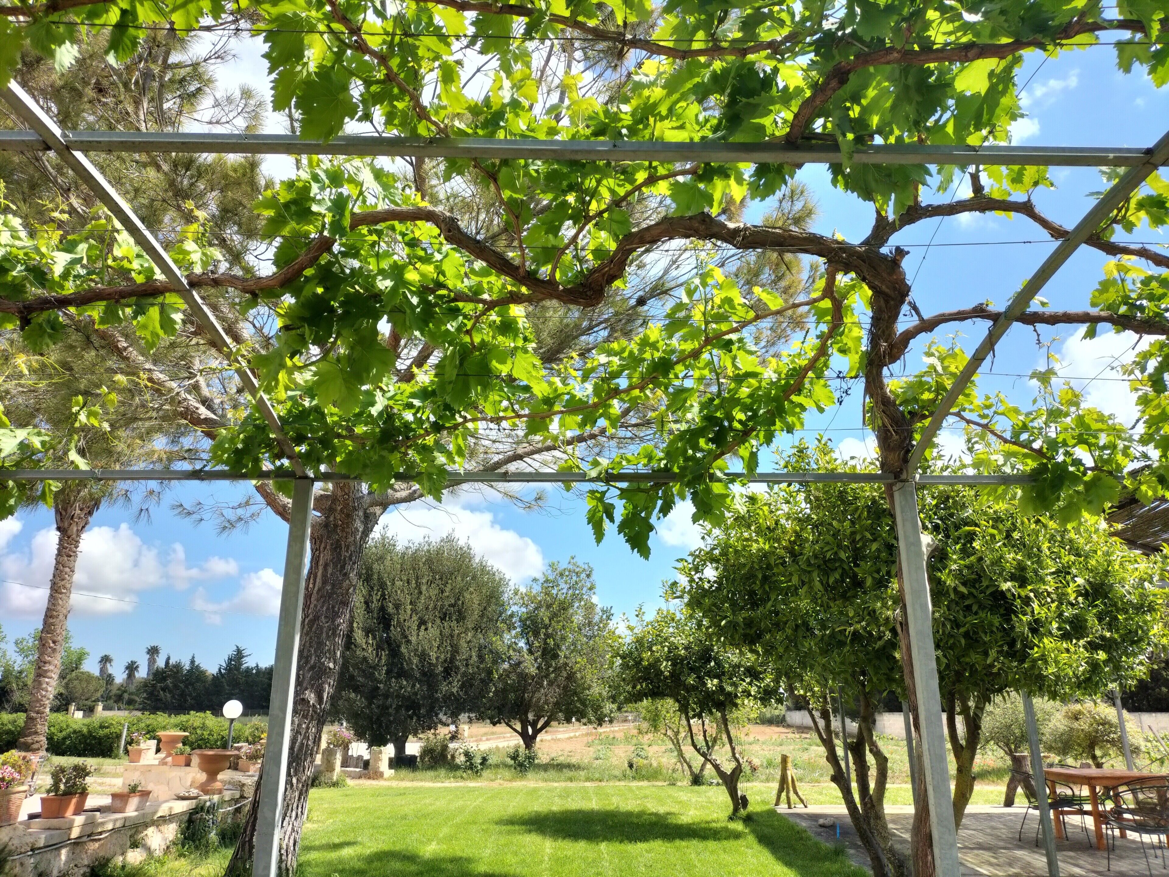 Parco della struttura