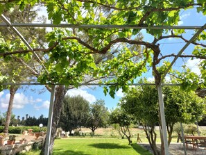 Property grounds - Villa 'Minioti Double Apartament' with Shared Terrace, Wi-Fi and Air Conditioning (Arnesano)