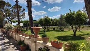 Un jardí amb plantes en testos, una banca de pedra i una estàtua.