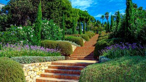 Un sendero en un jardín con escalones que suben una colina, rodeado de diversas plantas y árboles.
