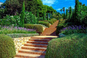 Áreas de la propiedad