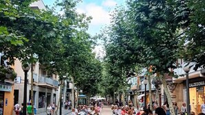 Calle bordeada de árboles y con terrazas donde comen personas.