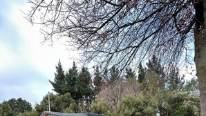 A small, single-story house with a covered porch, a fenced yard, and a pet house. - Country cottage close to airport (pet friendly)  (West Melton)