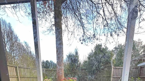 A view through a window of a wooden deck with a cat sitting on a mat. - Country cottage close to airport (pet friendly)  (West Melton)